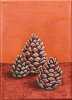 Pine cones: Acrylic & Oil on canvas 15cmx21cm